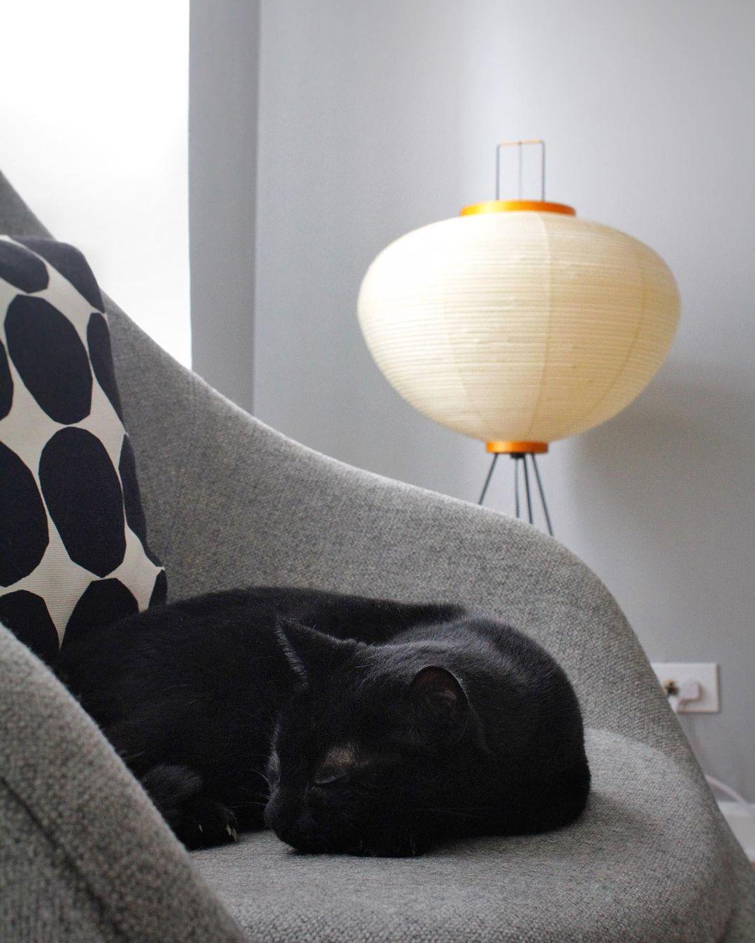 Reispapier Stehlampe | Wohnzimmer