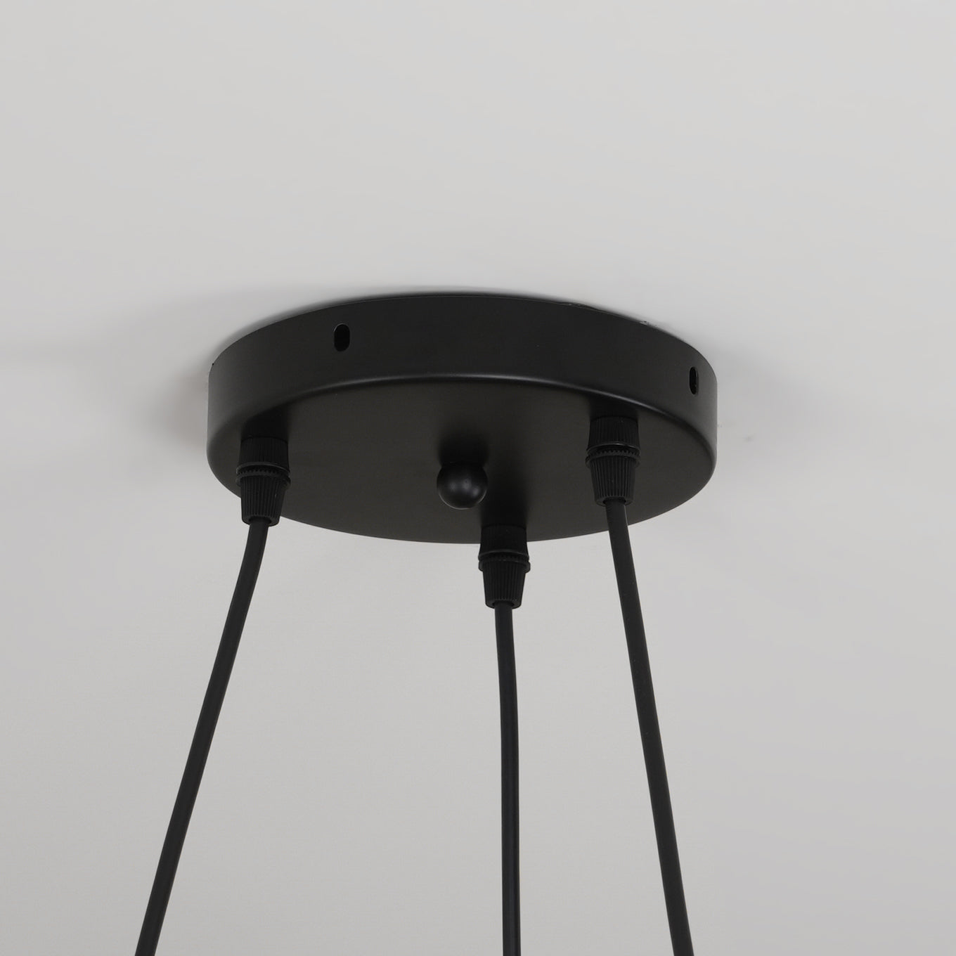 Halo Ring Songbird Deckenlampe