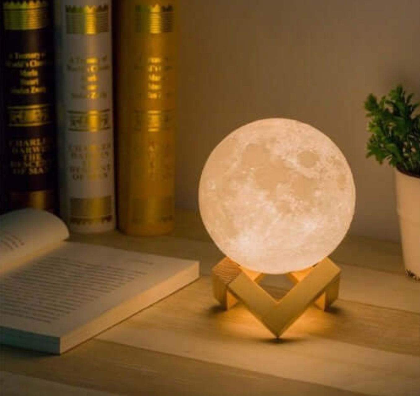 Mondlampe mit Holzständer