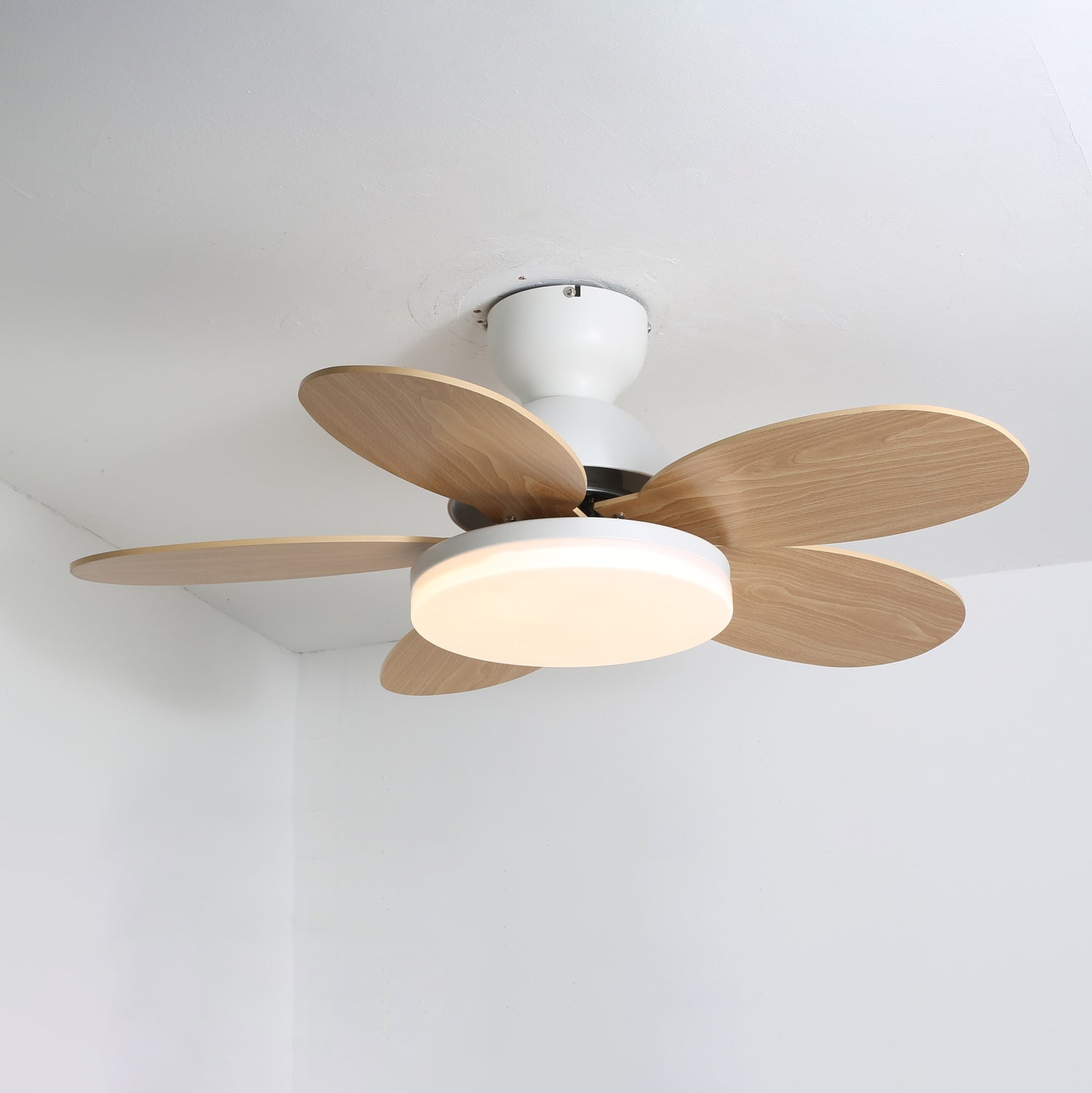 LED Deckenventilator mit blütenblattförmigen Flügeln
