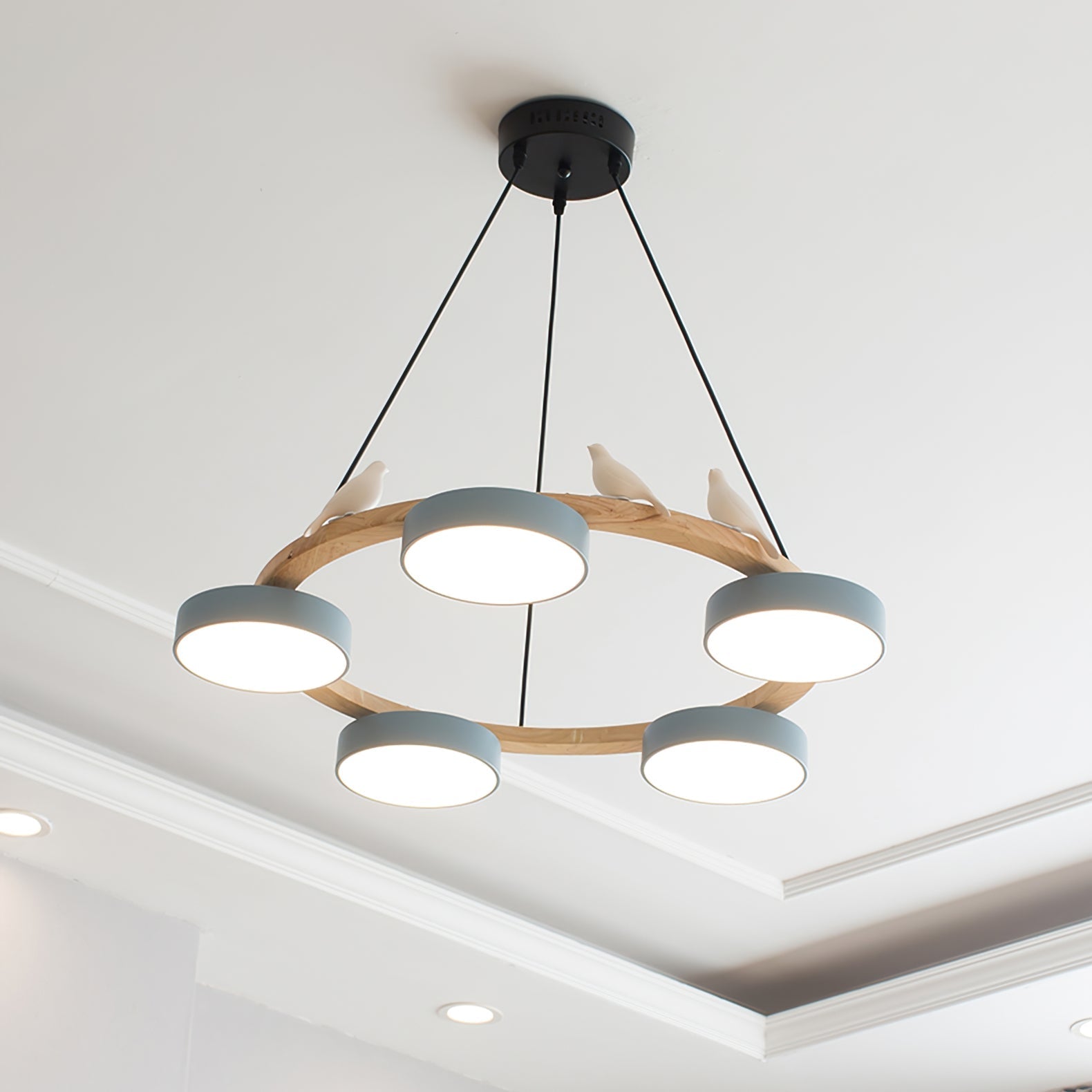 Halo Ring Songbird Deckenlampe