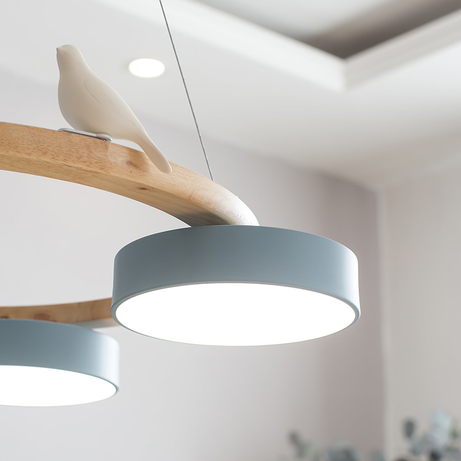 Halo Ring Songbird Deckenlampe